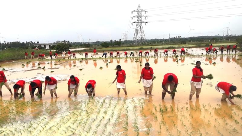 TIAC Campus & Facilities photo 29